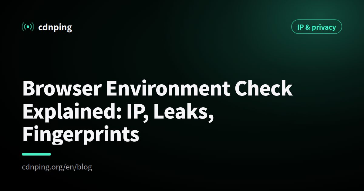 Browser Environment Check Explained: IP, Leaks, Fingerprints